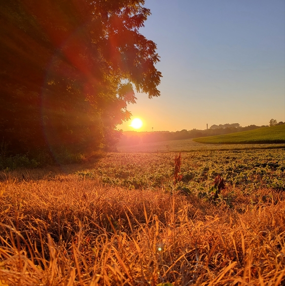 Meet your Posher, Marissa - Picture 1 of 3